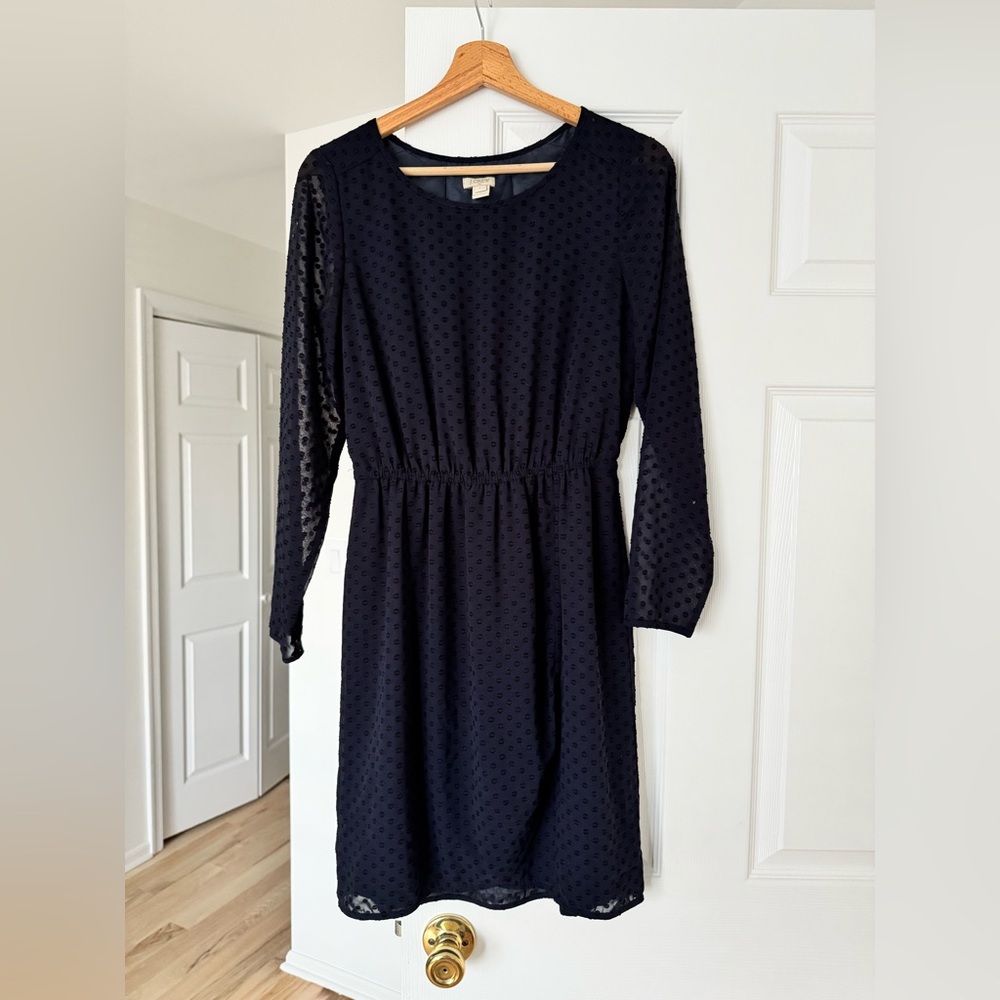 J. Crew Navy Long Sleeve Dress